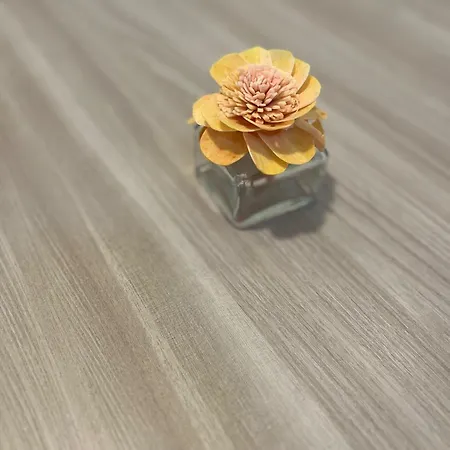 Paganino Gasthuis Fiumicino